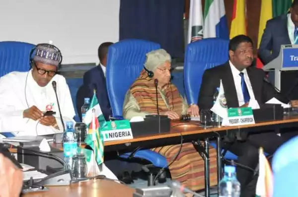 ECOWAS adopts single biometric identity card